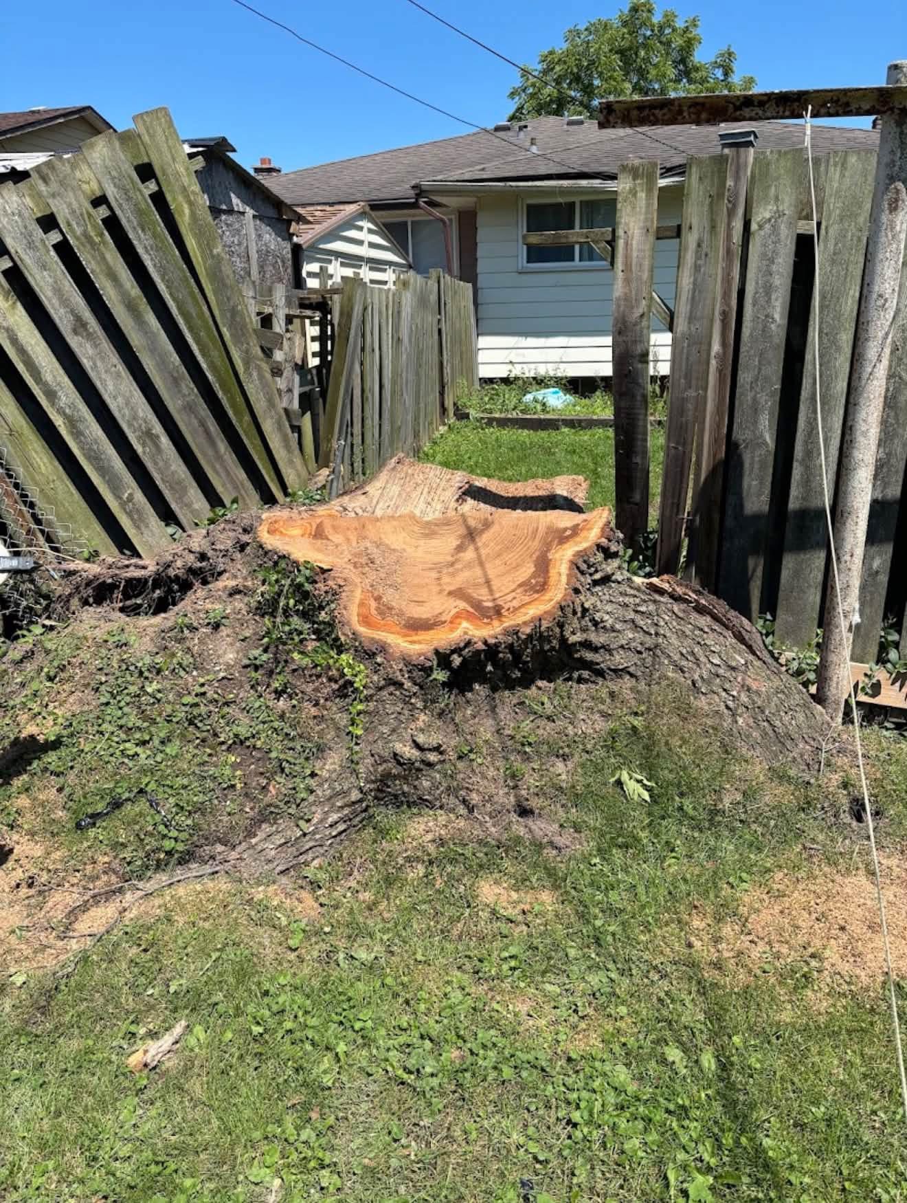 Midwest Service Map Midwest Stump Solutions | Stump Grinding & Tree Services