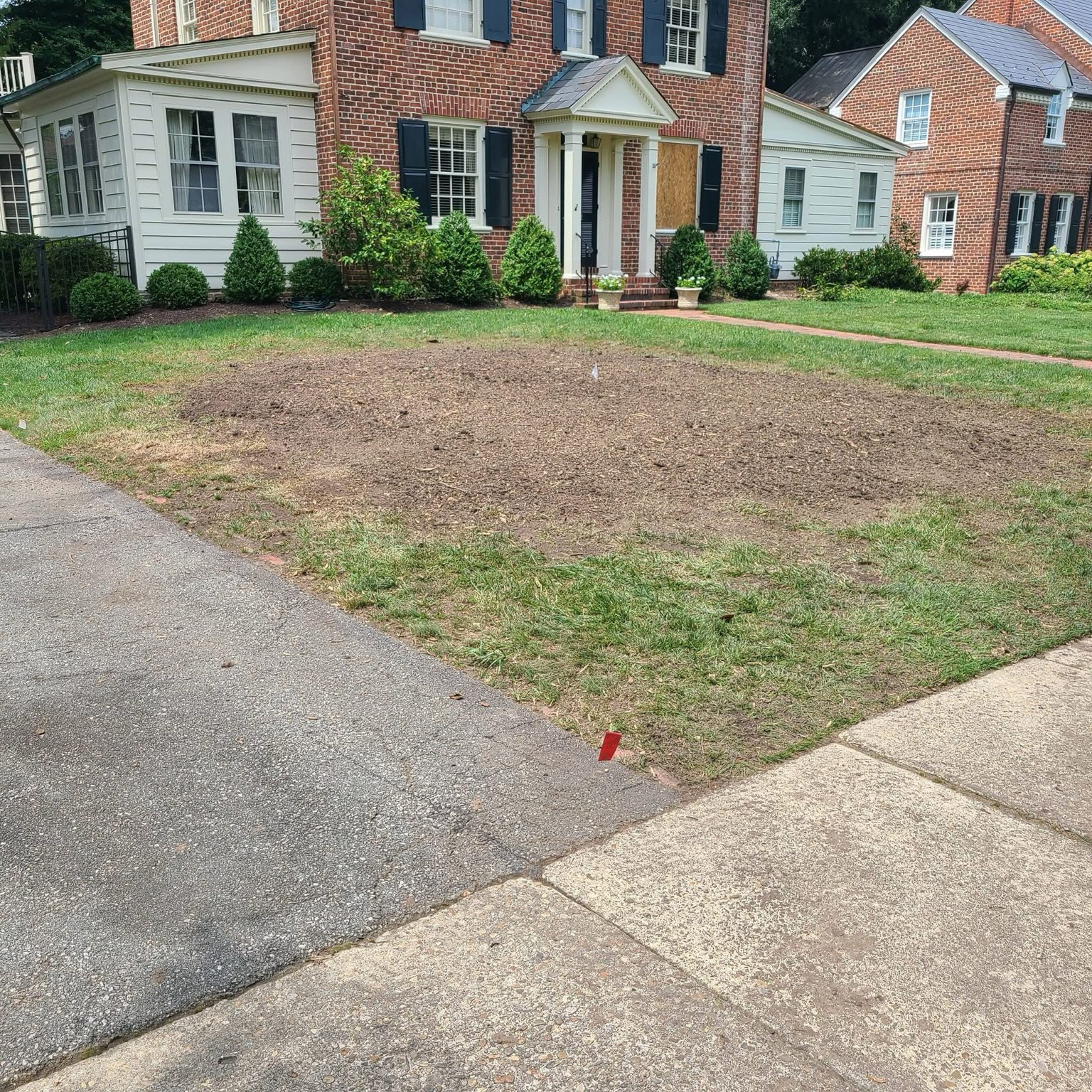 Front yard after stump grinding